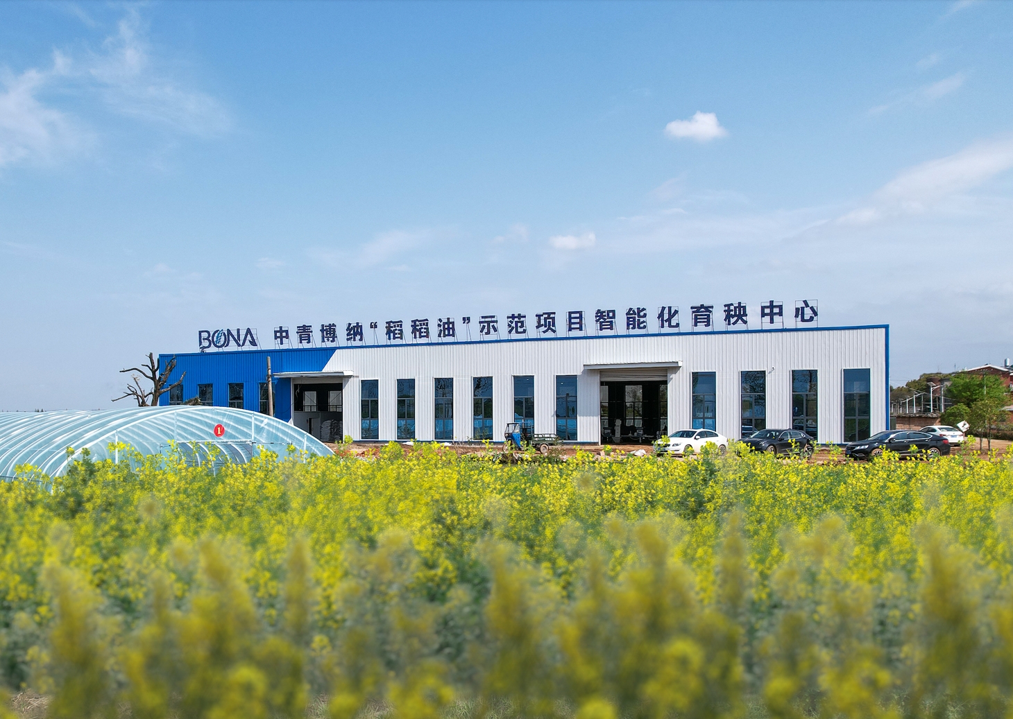 鄉(xiāng)村振興服務(wù)