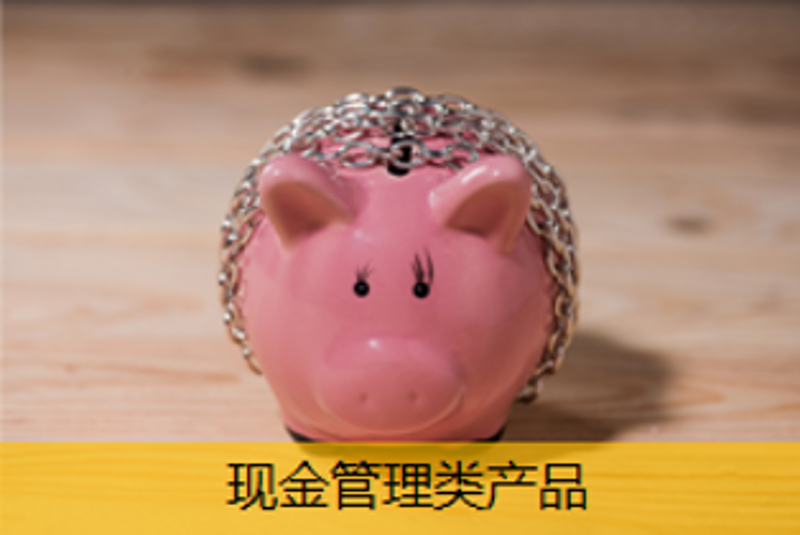 現(xiàn)金管理類產(chǎn)品